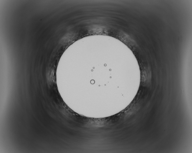 X0000086000820200704131803