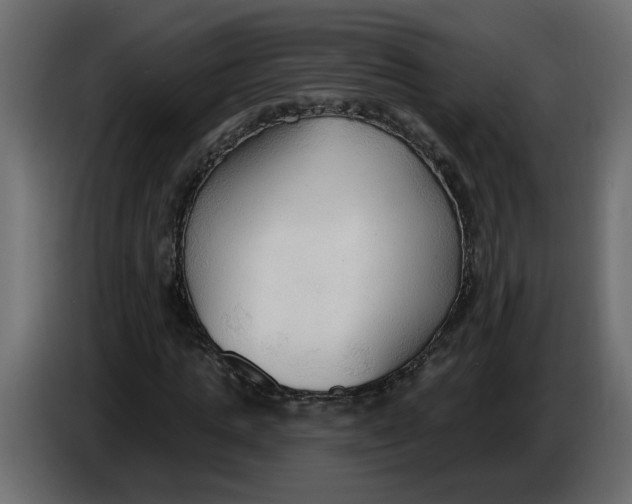 X0000086000821200704131803