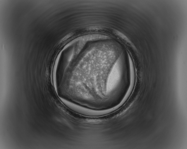 X0000086000825200704131803