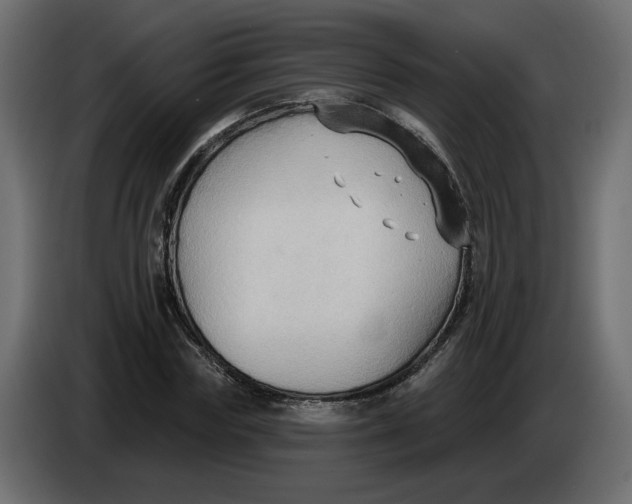 X0000086000827200704131803