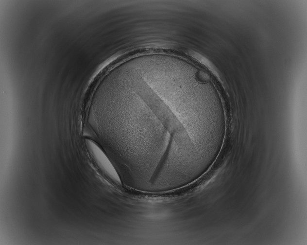 X0000086000829200704131803