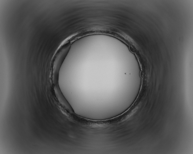 X0000086000830200704131803