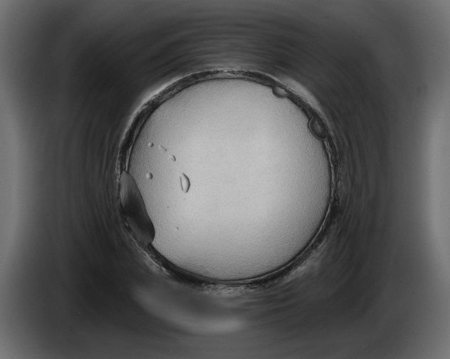 X0000086000831200704131803