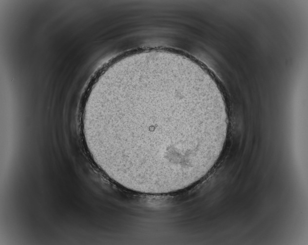 X0000086000832200704131803