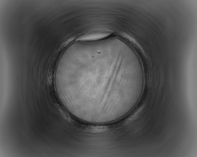 X0000086000833200704131803