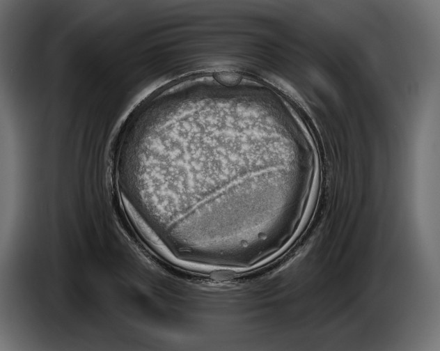 X0000086000835200704131803