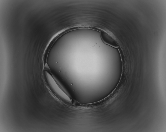 X0000086000838200704131803