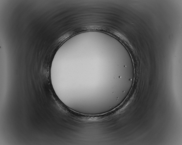 X0000086000841200704131803