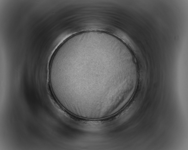 X0000086000844200704131803