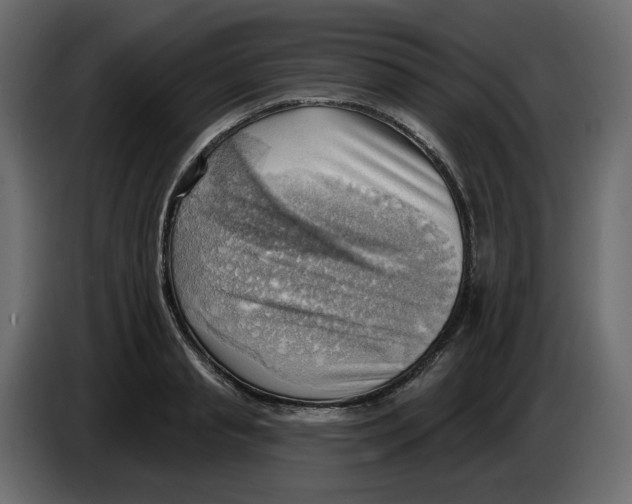 X0000086000845200704131803