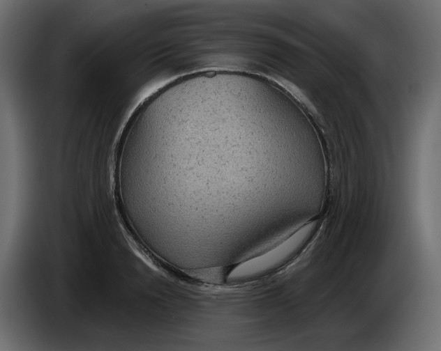 X0000086000846200704131803