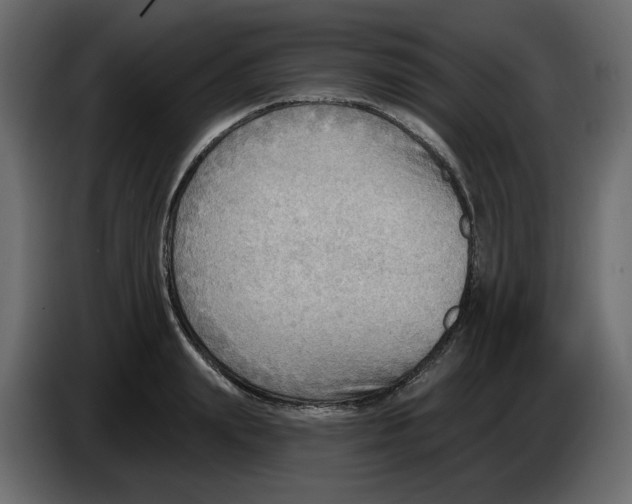 X0000086000847200704131803