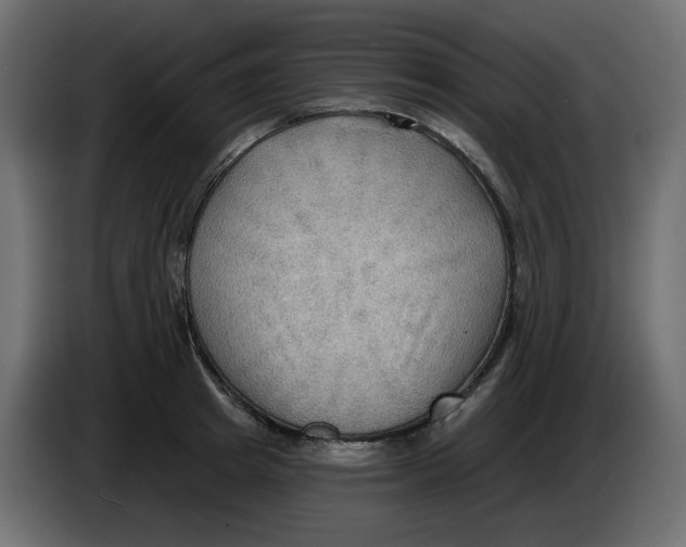 X0000086000849200704131804