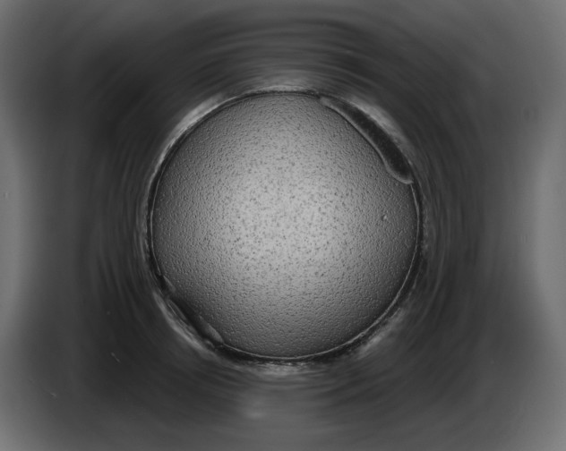 X0000086000850200704131804