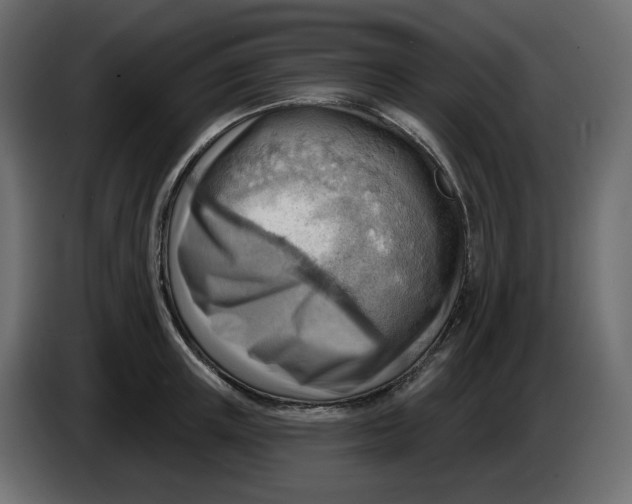 X0000086000851200704131804