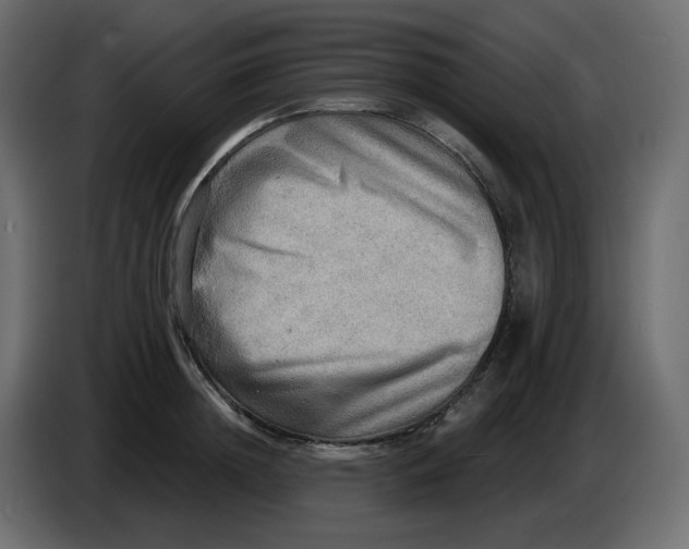 X0000086000852200704131804