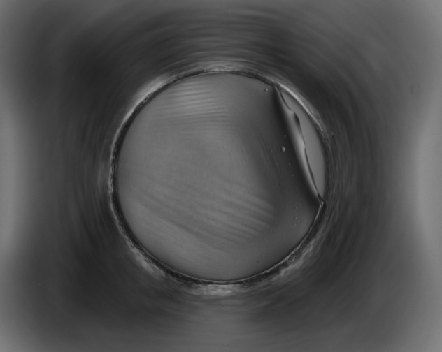 X0000086000853200704131804