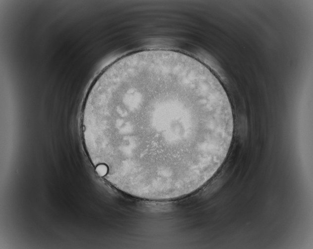 X0000086000856200704131804