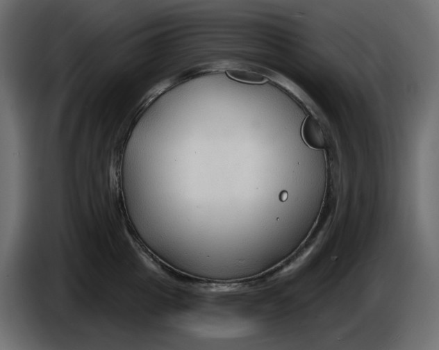 X0000086000857200704131804