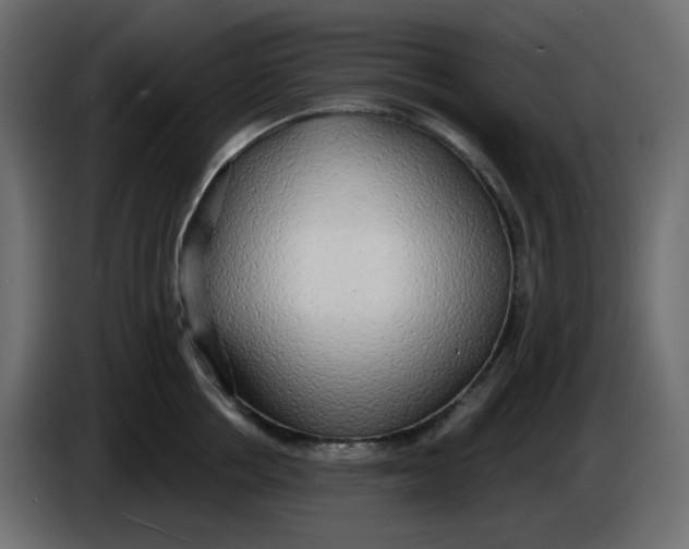 X0000086000858200704131804