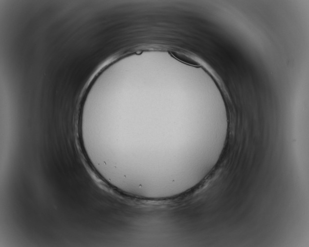 X0000086000861200704131804