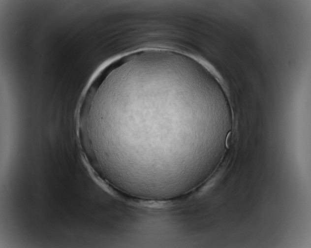 X0000086000862200704131804