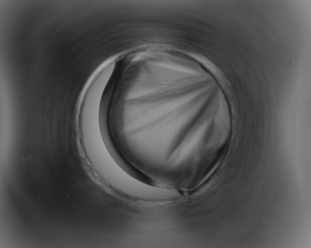 X0000086000864200704131804