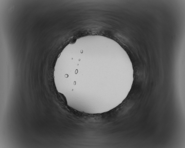 X0000086000865200704131803