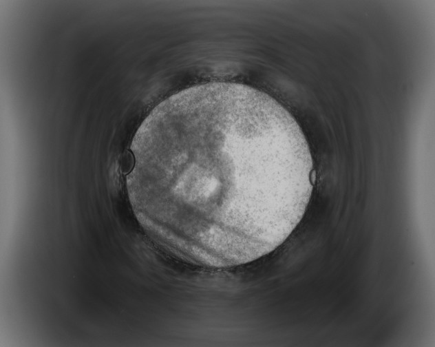 X0000086000866200704131803