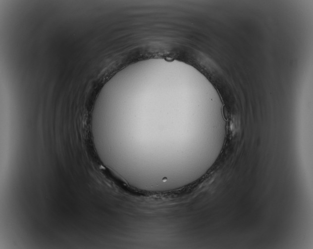 X0000086000867200704131803