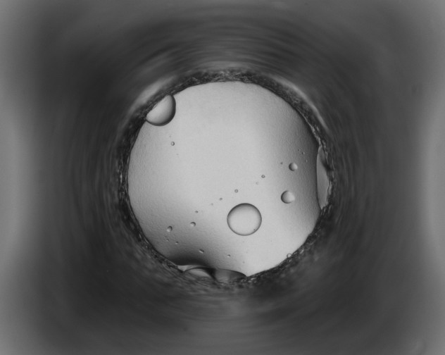 X0000086000871200704131803