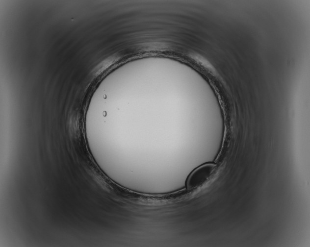 X0000086000873200704131803