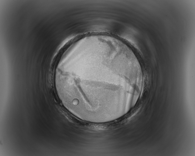 X0000086000878200704131803