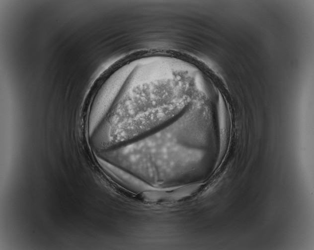 X0000086000879200704131803