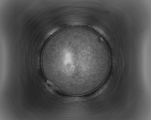 X0000086000881200704131803