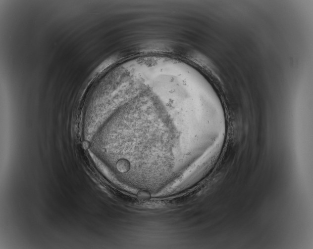 X0000086000882200704131803