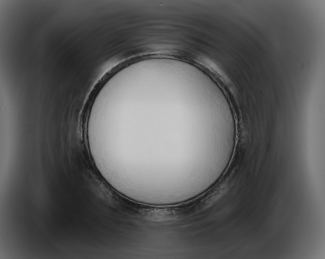 X0000086000883200704131803