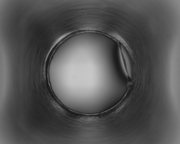 X0000086000884200704131803