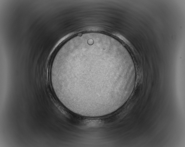 X0000086000886200704131803