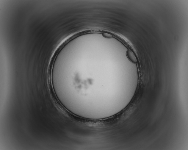 X0000086000887200704131803