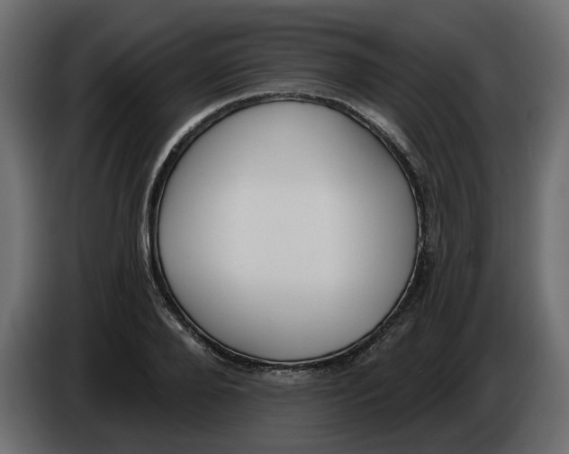 X0000086000888200704131803