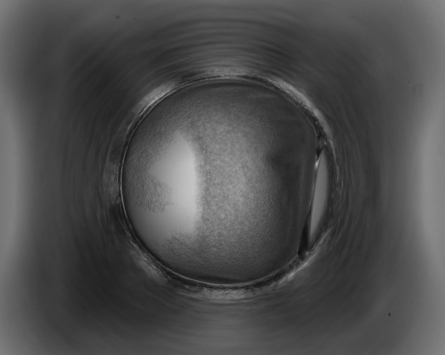 X0000086000889200704131803