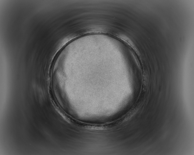 X0000086000890200704131803