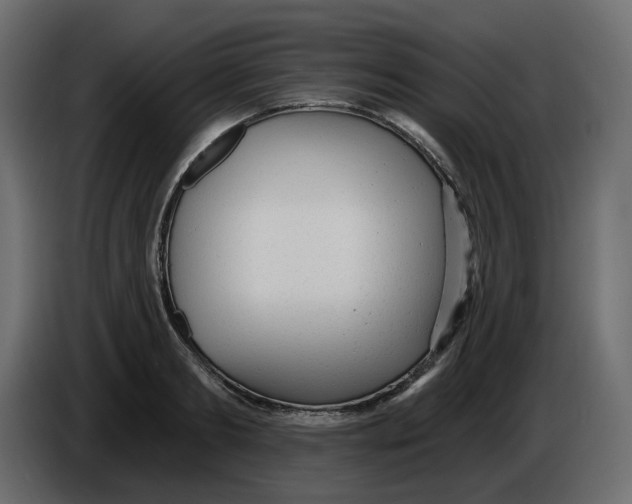 X0000086000893200704131803