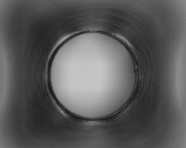 X0000086000894200704131803