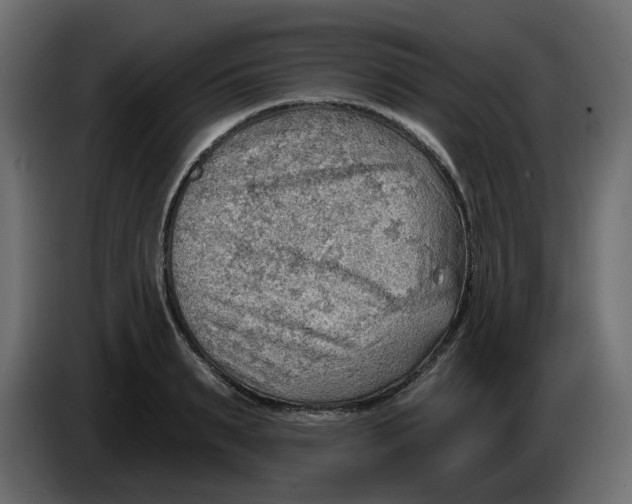 X0000086000895200704131803