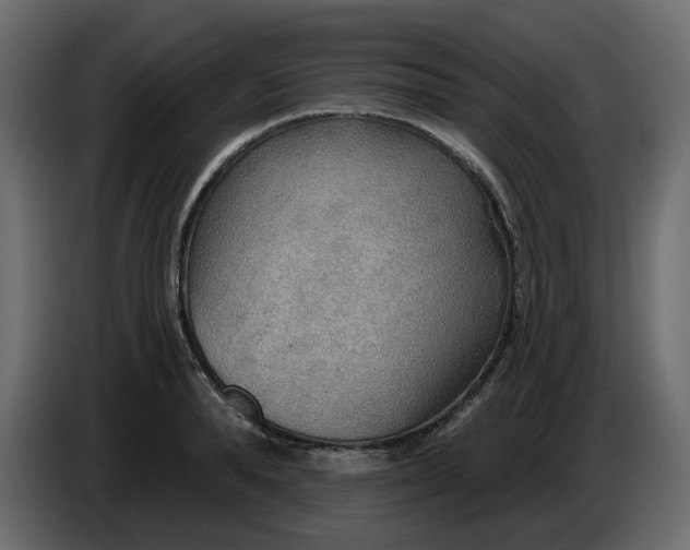 X0000086000896200704131803