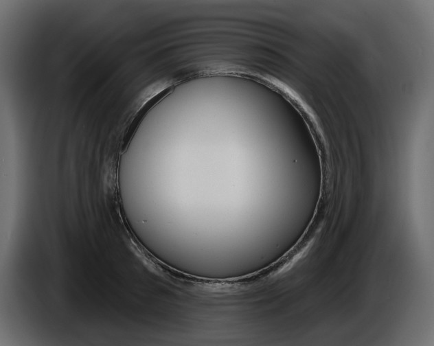 X0000086000897200704131803