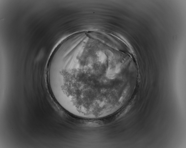 X0000086000899200704131803