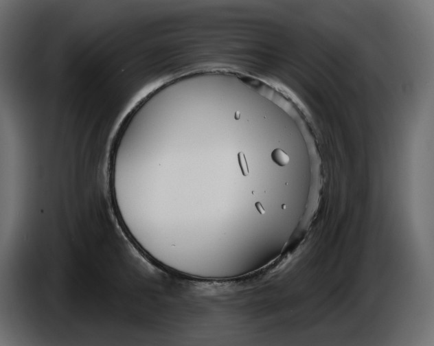 X0000086000902200704131803